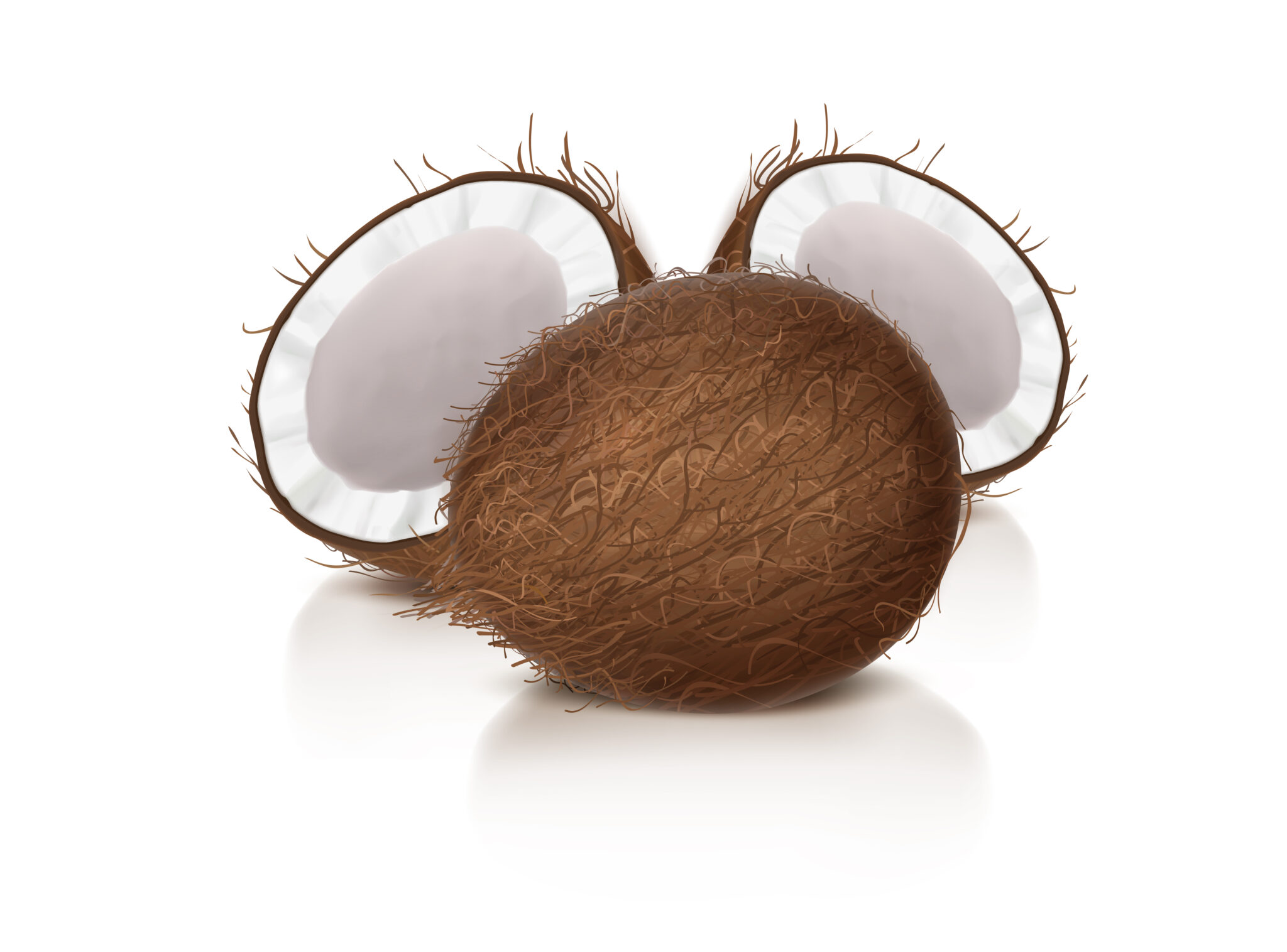 coconut - shipping service