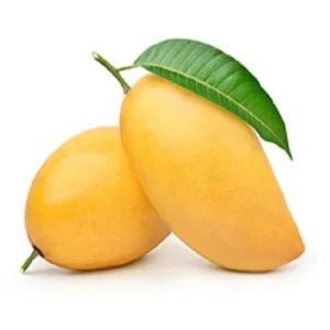 MANGO - shipping service