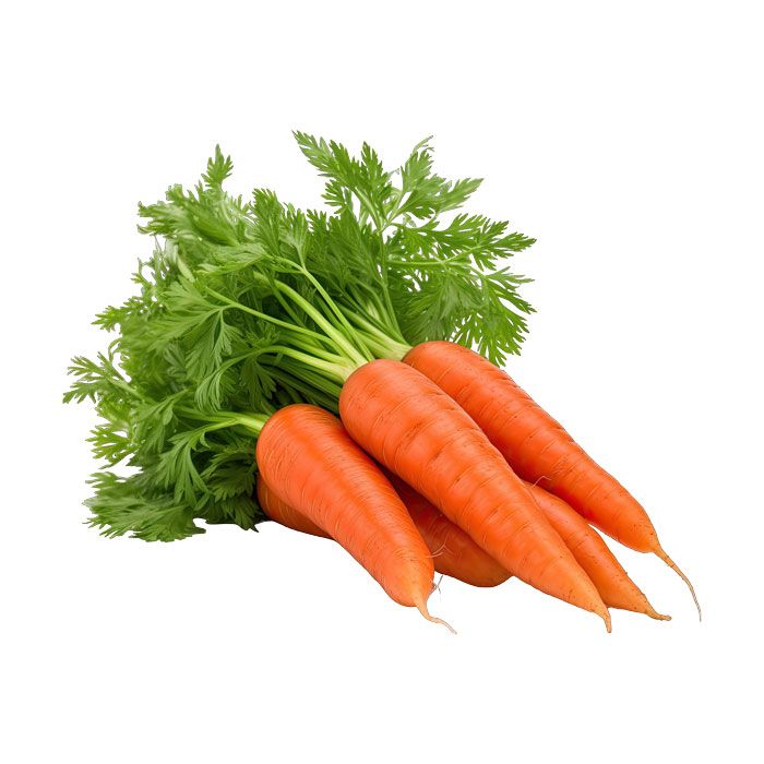 carrot - shipping service