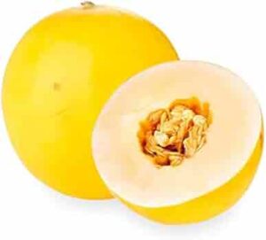 sunmelon - shipping service