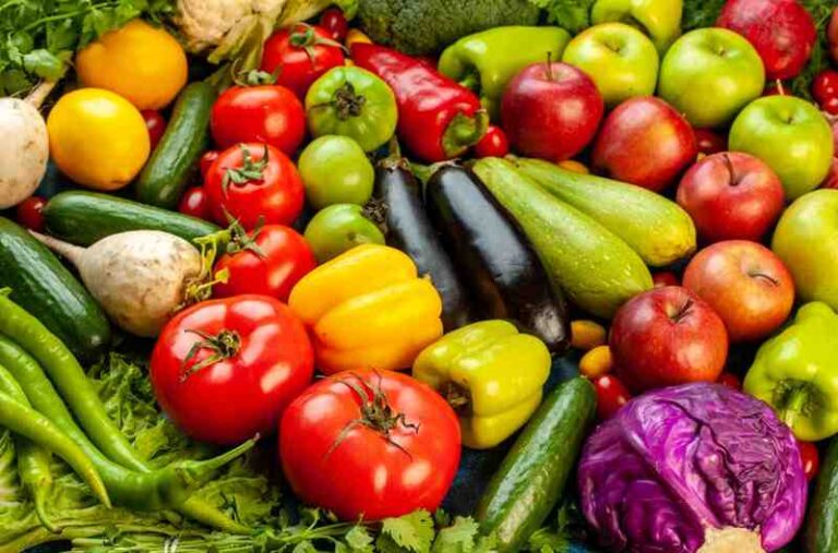 front view of vegetable- export services