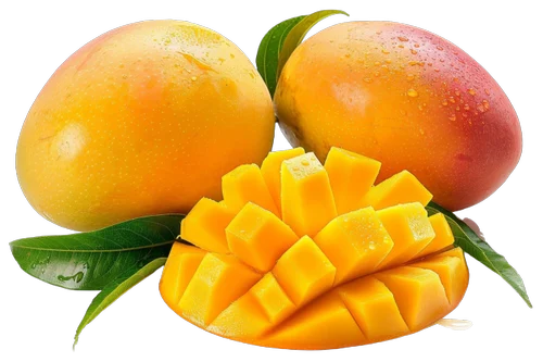 mango - shipping service
