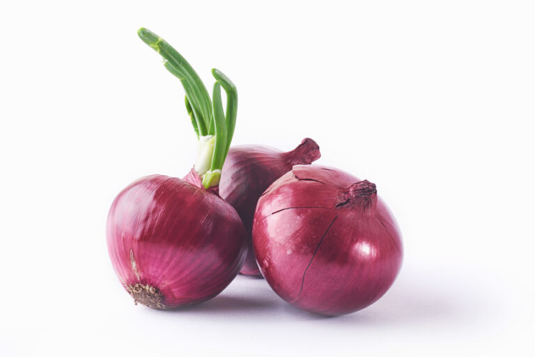 red onion whole isolated white scaled - shipping service